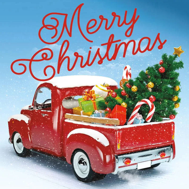 🎁Christmas car door decoration