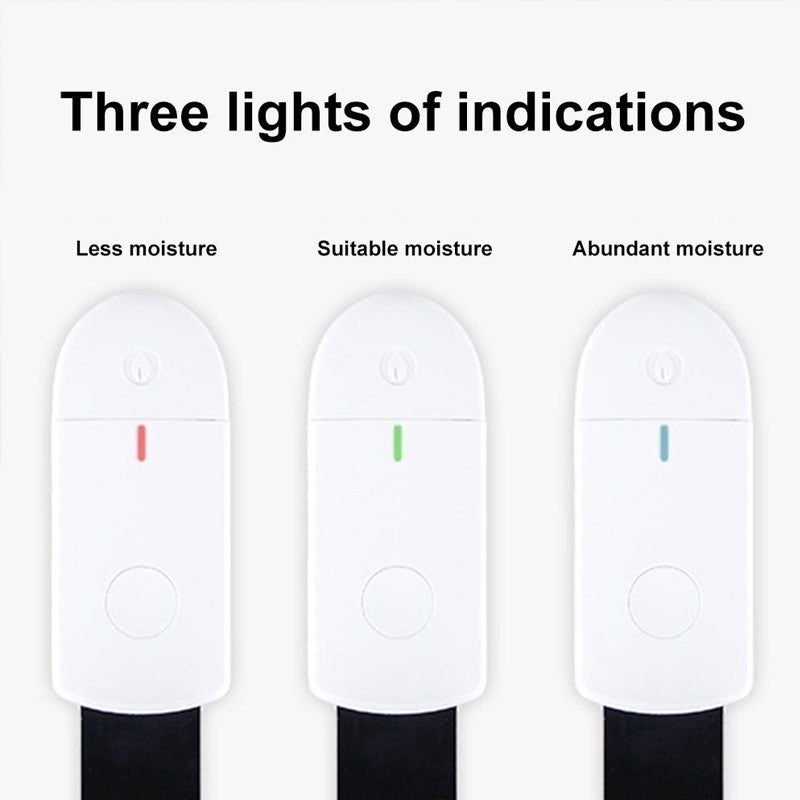 Flower And Grass Monitor