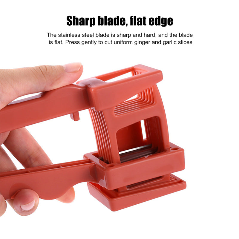 Ginger Garlic Divider