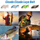 Cicada Cicada Luya Bait