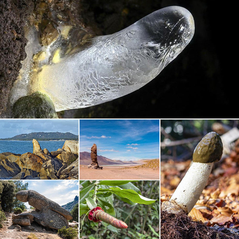 Funny 2022 Holiday Gift Prank Item