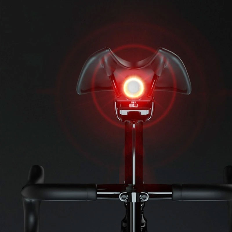Smart Brake Sensing&Bicycle Rear Light