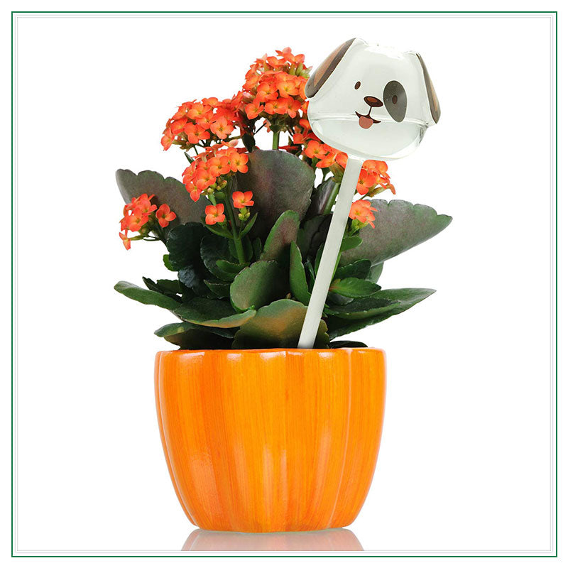 🐶Dogs Plant Waterer Bulbs