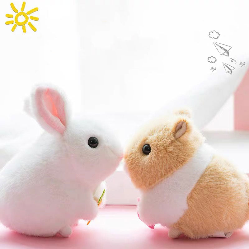 Rabbit Wagging Its Tail