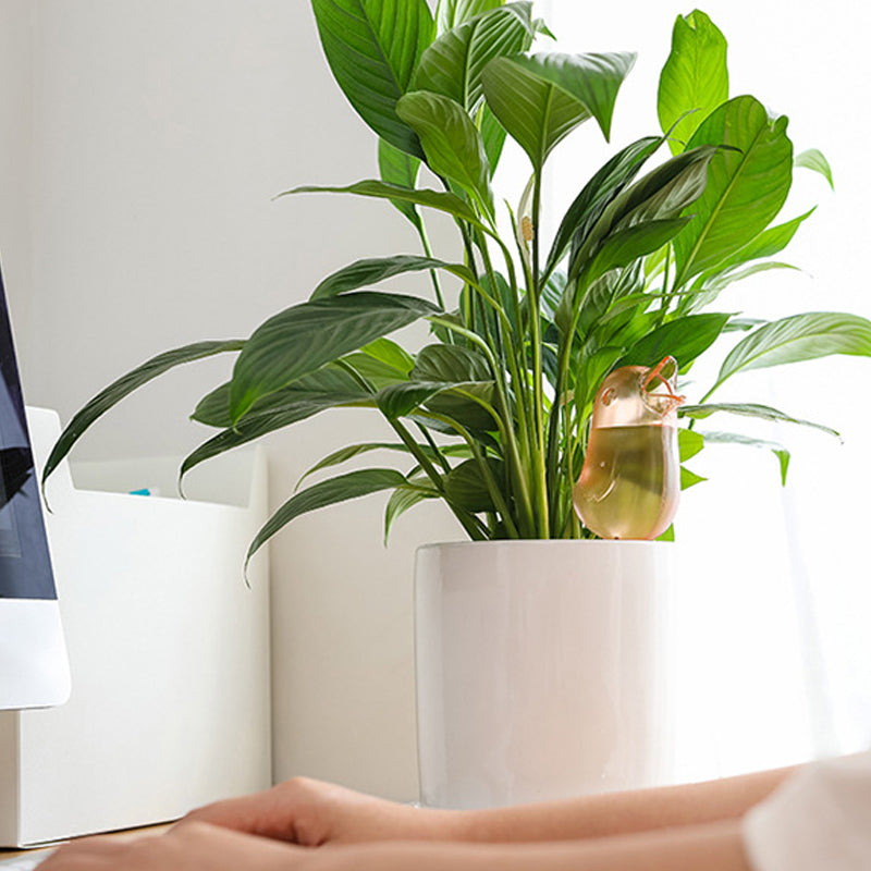 Indoor and Outdoor Potted Plant Automatic Waterer - Bird Shape