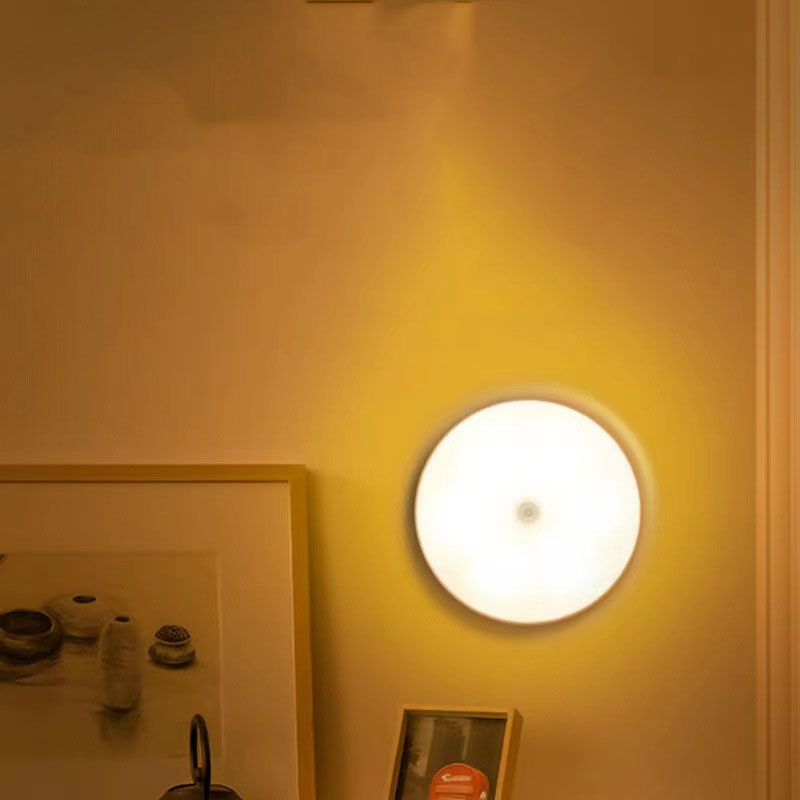 Human Body Sensing Night Light