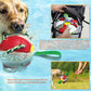 Outdoor Training Interactive Frisbee Soccer Dog Toy