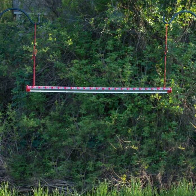 2021 Best Bobs Tube Hummingbird Feeder