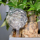 Plant Watering Globes Glass
