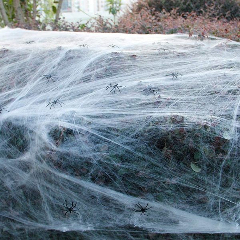 HALLOWEEN SPIDER WEB