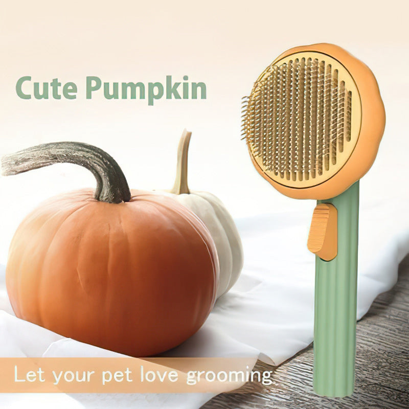 Pet Pumpkin Brush