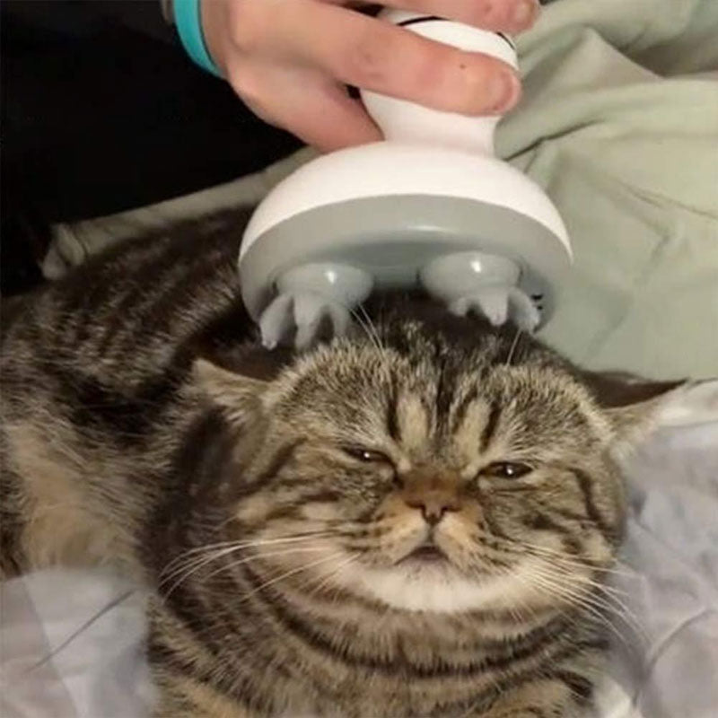 MULTIFUNCTIONAL ELECTRIC CAT HEAD MASSAGER
