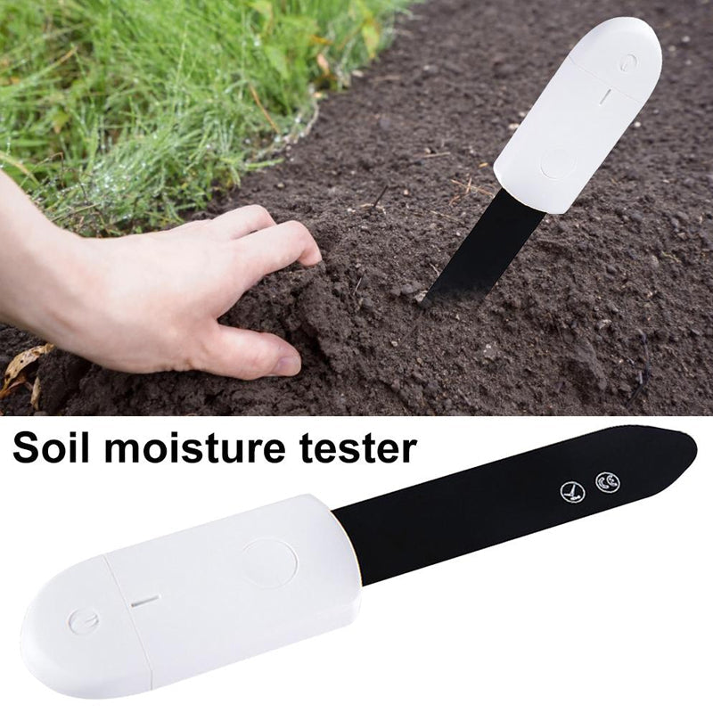 Flower And Grass Monitor