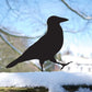 Crow Garden Sculppture Art