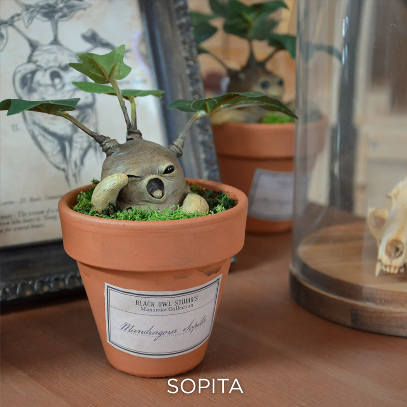 Harry Potter Mandrake Pixie Resin Ornament