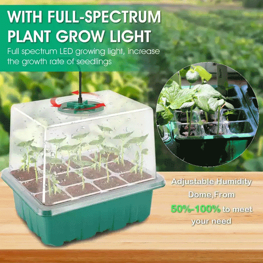 Seed Starter Trays with Grow Light