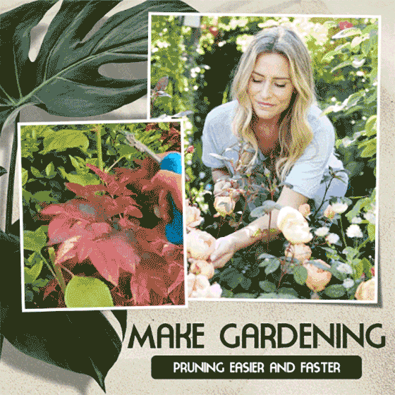 Portable Pointed Gardening Scissor(40% OFF)