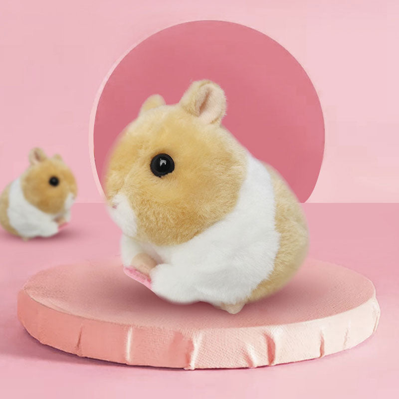 Rabbit Wagging Its Tail