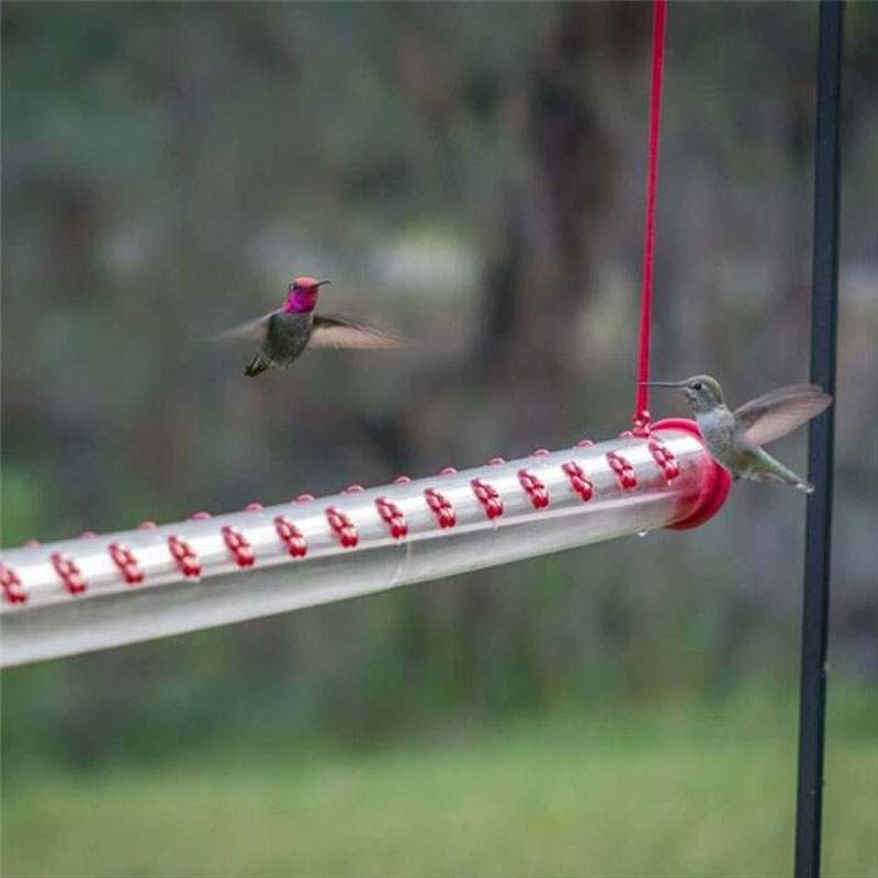 2021 Best Bobs Tube Hummingbird Feeder