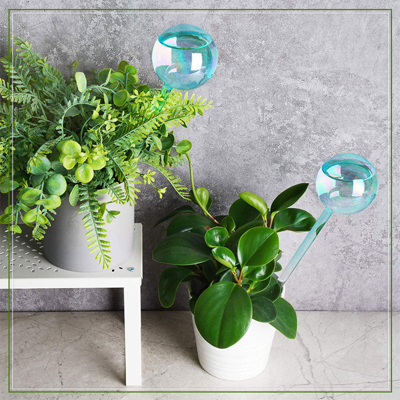 🍭Lollipop Self Watering Globes