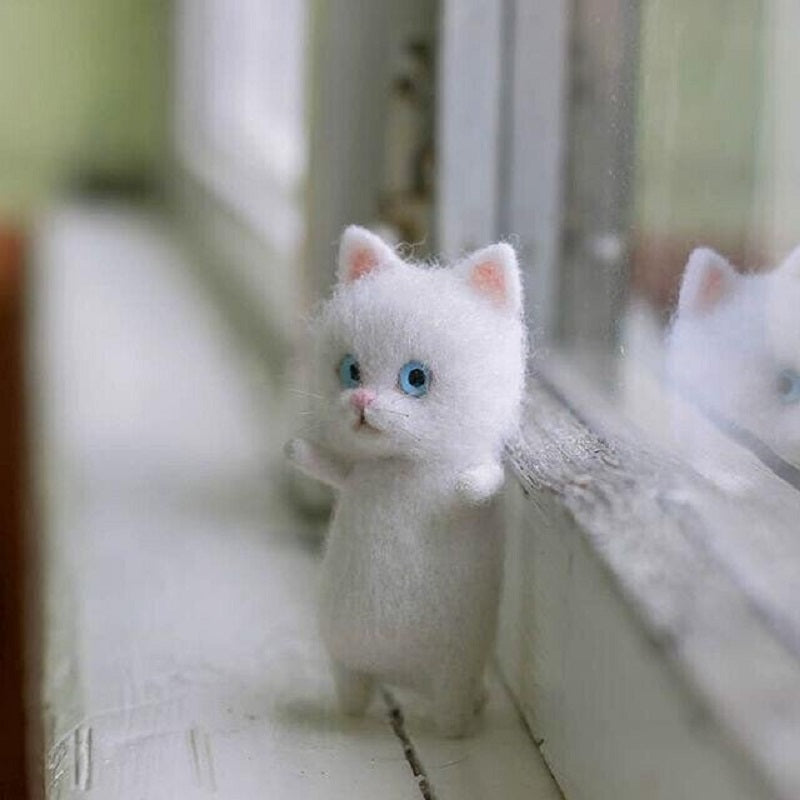 😺Gift for Cat Lovers