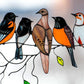 Birds Stained Glass Window Hangings