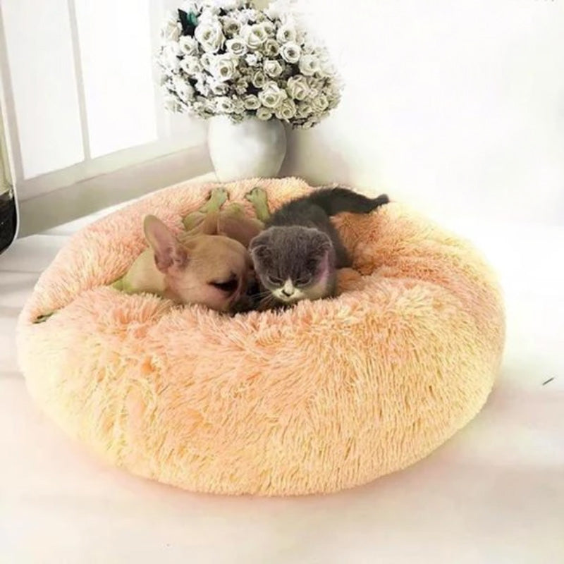 Calming Donut Pet Bed