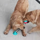 Grinding Sucker Dog Toy