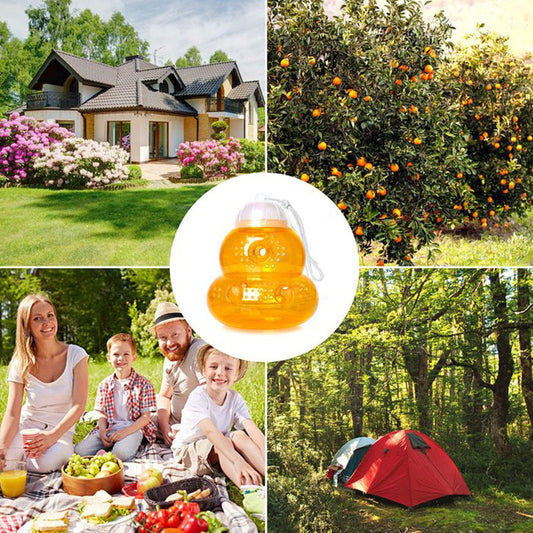 Wasp Trap for Hornet Bees Yellow Jackets