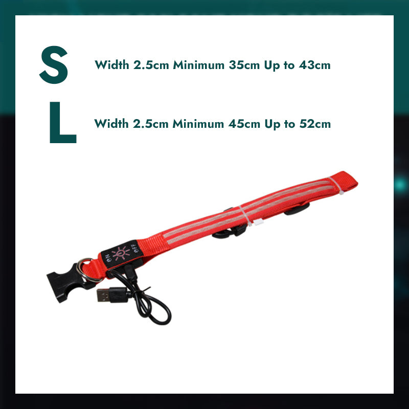 Adjustable Light Up Pet Collar