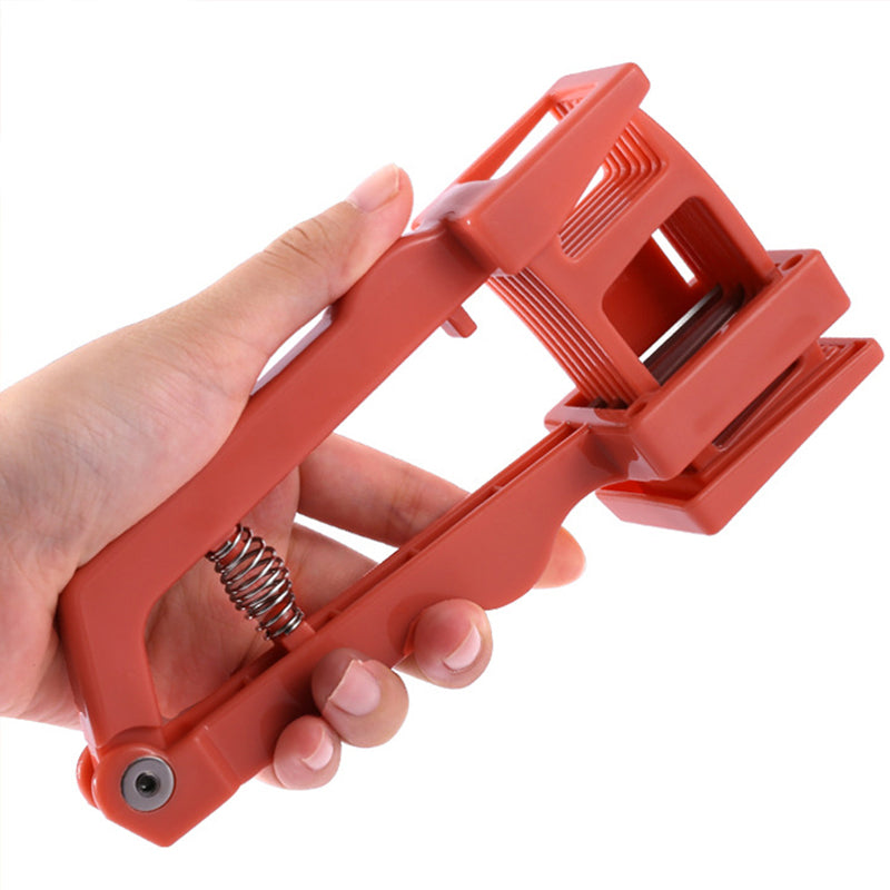 Ginger Garlic Divider