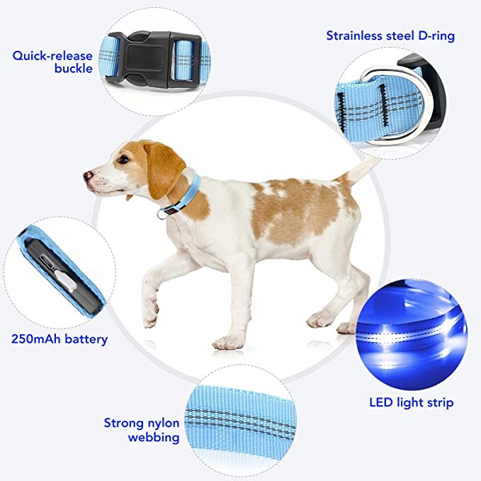 USB Rechargeable Glowing Pet Safety Collar
