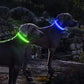 USB Rechargeable Glowing Pet Safety Collar