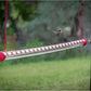Best Hummingbird Feeder - Limited Promotion