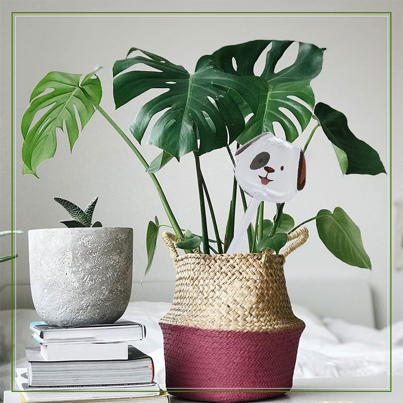 🐶Dogs Plant Waterer Bulbs