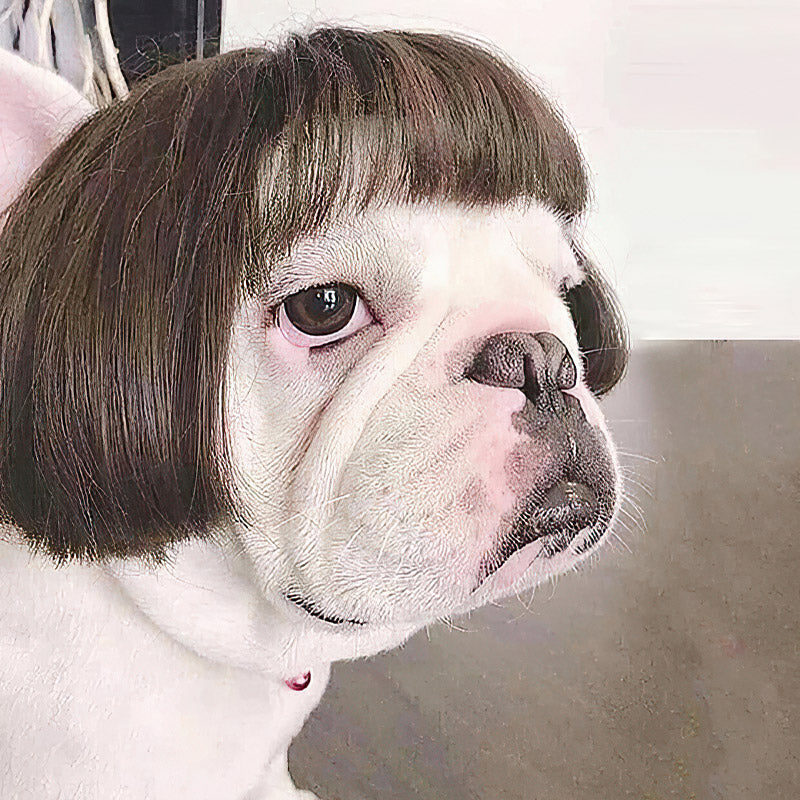 Pet Wig Role-playing Props