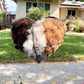 Bird Nesting Heart Outdoor Yard Art
