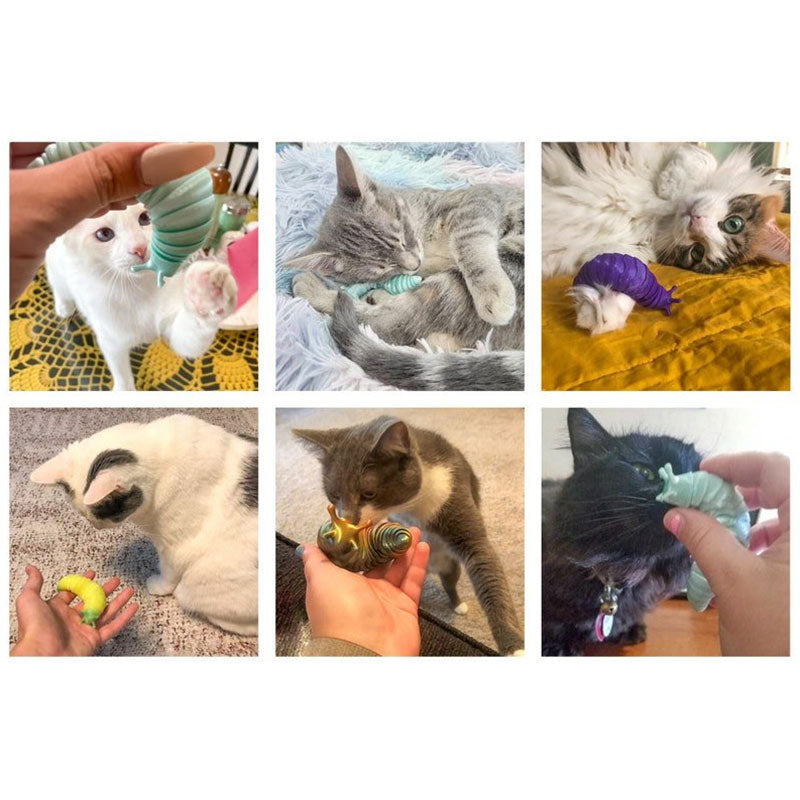 Slug Decompression Toy