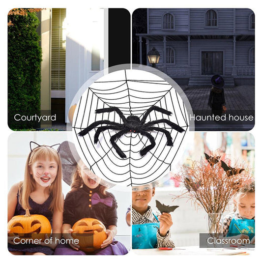 Black Spider For Interior And Exterior Decoration