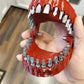 Denture Drill Bit Holder