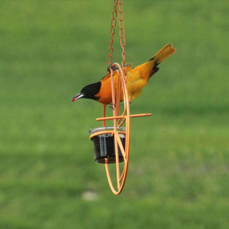 2021 Best Oriole Jelly Wild Bird Feeder