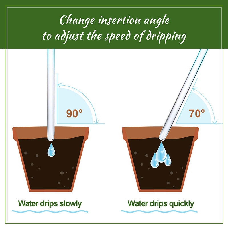 🍭Lollipop Self Watering Globes