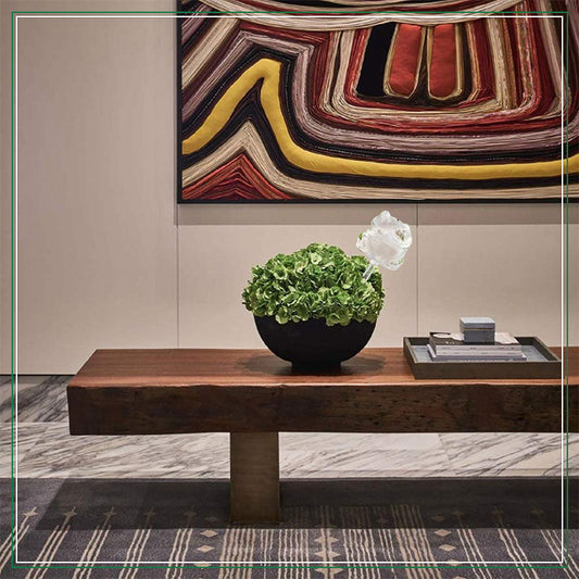 🐸Frog Plant Self Watering Globes