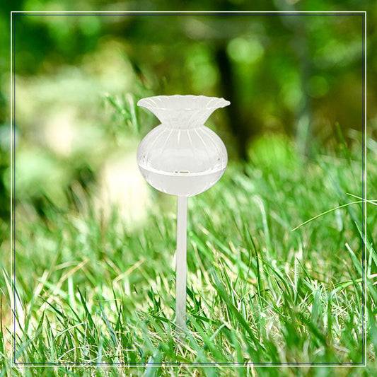 🌹Rose Shape Self Watering Plant Waterer