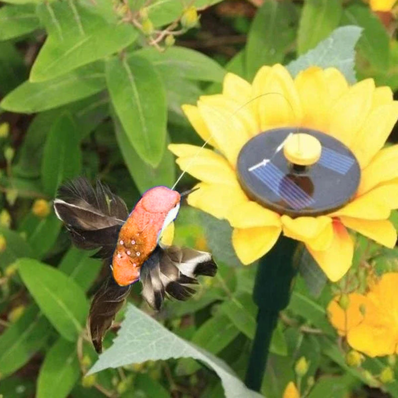 Solar Dancing Hummingbird With Sunflower