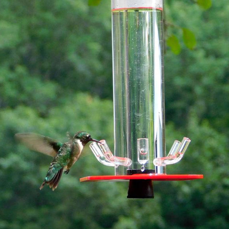 2021 Besst Peter's Hummingbird Feeder