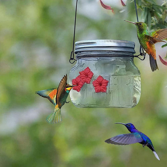 Beautiful Mason Jar Hummingbird Feeder