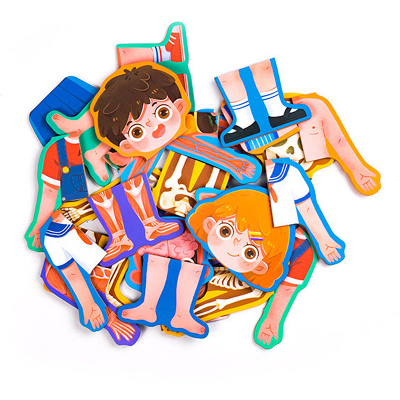 Human Body Anatomy Wooden Puzzle Game