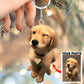 🐶🐱Personalized Pet Photo Decoration