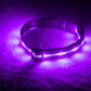 USB Rechargeable Glowing Pet Safety Collar